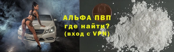 PSILOCYBIN Карталы
