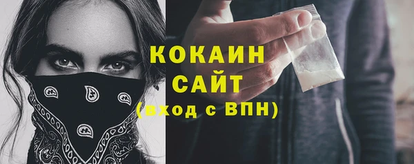 PSILOCYBIN Карталы