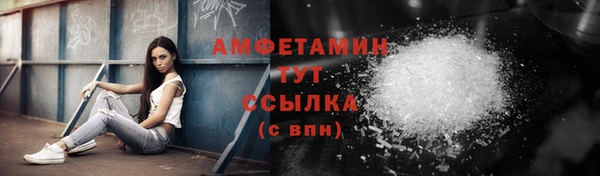 твердый Карпинск