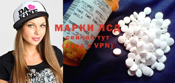 PSILOCYBIN Карталы