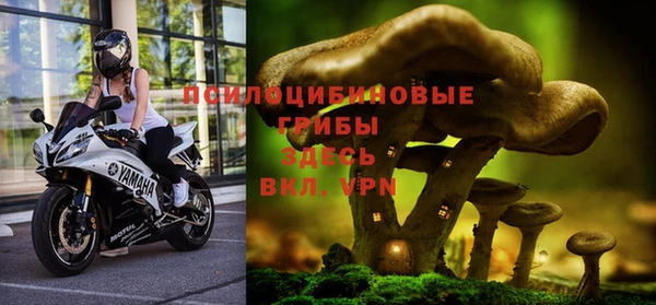 PSILOCYBIN Карталы