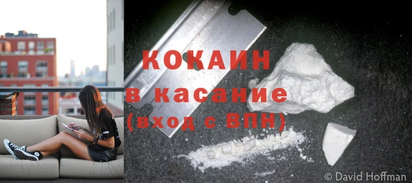 твердый Карпинск