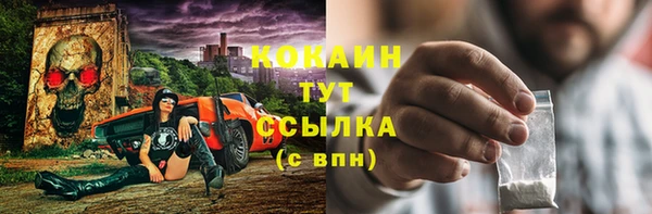 PSILOCYBIN Карталы