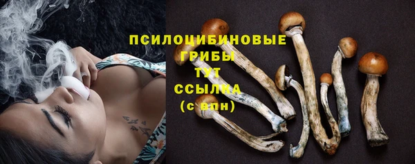 твердый Карпинск